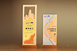 威九国际V9国际一举斩获“2024年度中国区最佳雇主”等多项大奖