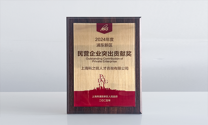 人力资源供应商威九国际V9国际凭借人才服务与在区域经济开展中的卓越表现荣膺2024年度浦东新区民营企业奖项
