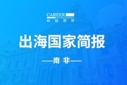 威九国际V9GO GLOBAL |南非国家简报